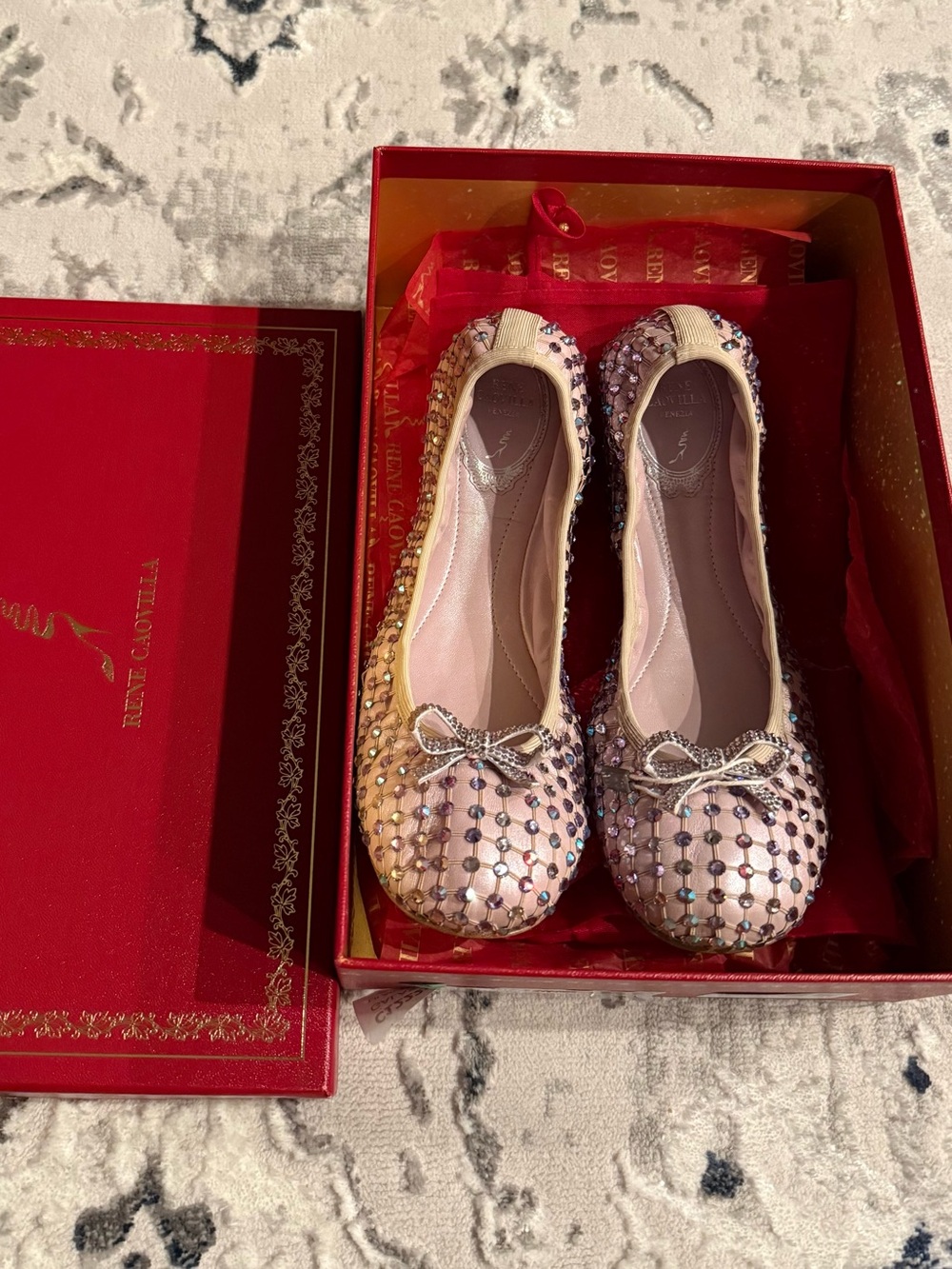 Rene Caovilla Galaxia ballet flats Crystal Embellished